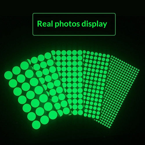3562fd58487a6e659b7518421299aacf